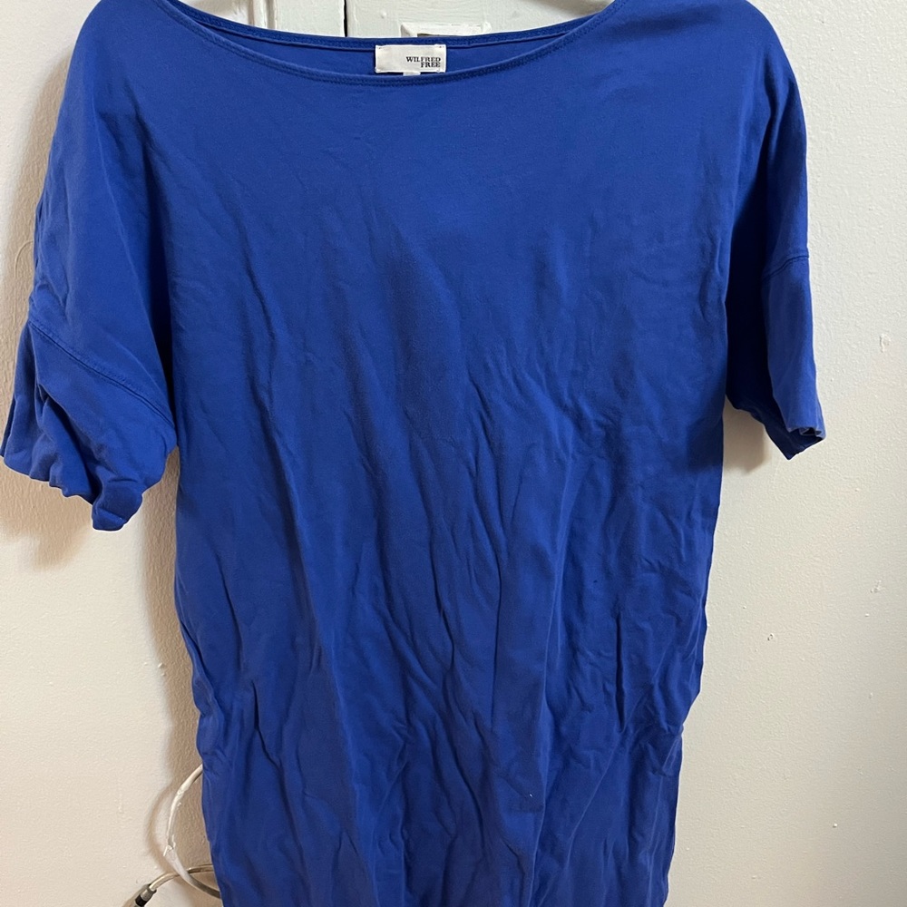 Wilfred Free Dress